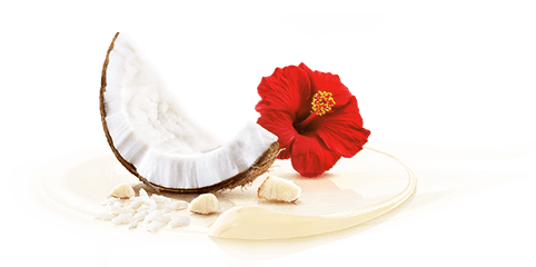 Raffaello Eis liegend